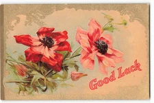Good Luck Embossed Flowers Glossy Finish VTG Postcard CG4.