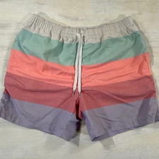 Chubbies Striped Multicolor Shorts Men's XL Casual Athletic Beach Gym Drawstring
