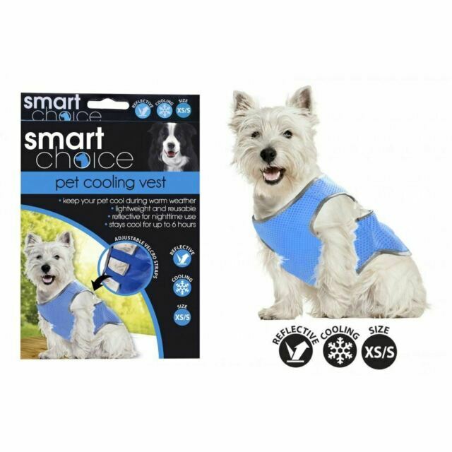 smart choice dog collar