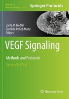Vegf Signaling Methods And Protocols Lorna R. Fiedler (U. A.) Taschenbuch Xii