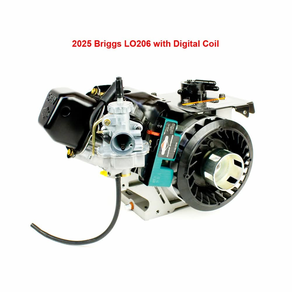 洋楽 ImporttedTromEuropeStanGetz 2025 UpdatedBriggs & Stratton 124332-8201 Engine Lo 206 Kart