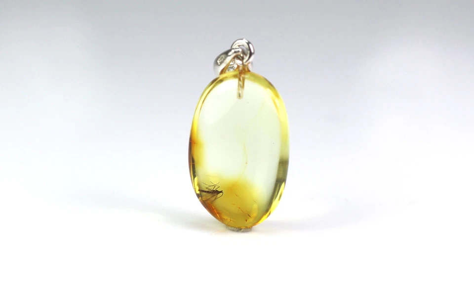 Ciondolo ambra baltica con grande inclusione di insetti ZANZARE, argento 925,... - Immagine 4 di 4