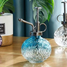 Plant Mister Water Spray Bottle, Succulent Watering Bottle with Plastic Top Pump