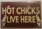 Hot Chicks Live Here Chicken Tin Sign 8x12 Vintage Style Humor New Hen Rooster
