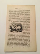 K85) View of Sailors and White Polar Bear Animal Kingdom 1870 Engraving