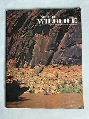 1976 June-July, National Wildlife Magazine, The Swamp Called Okefenokee (MH589)