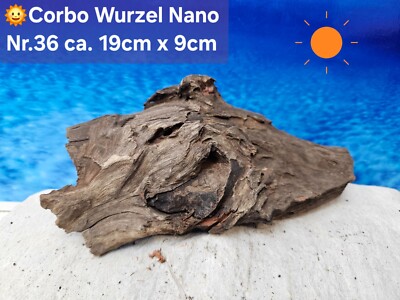  Corbo Root Nano  Aquarium Traum Wurzel
