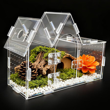Jumping Spider Enclosure, 9.5" x 3.9" x 6.7" Acrylic with Magnetic Door Transpar