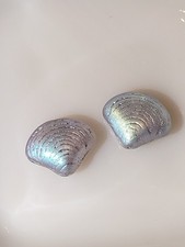 Czech Blue Yellow Shell Design Beads 20x15mm CZ5-24