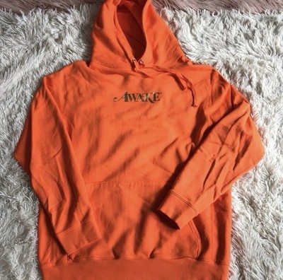 Awake NY Metallic Logo Hoodie (Medium)