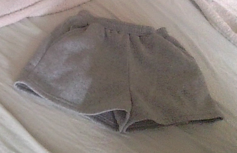 Shein Gray Elastic Waist Shorts Girl 11 Yrs/20" waist 2-pocket Soft Fleece Lined