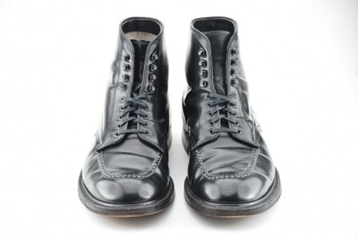 Alden Shell Cordovan