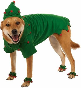 dog christmas elf costume