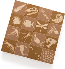 Fossil Blocks - Made in the USA