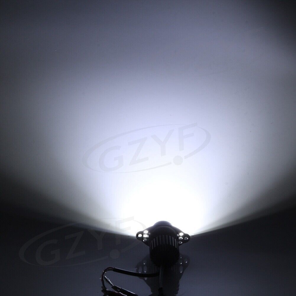 Picture 9 of 9