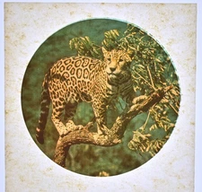 Original VINTAGE 1970s Heat Transfer | Leopard - Bundle of 6