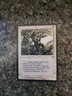 Icatian Scout Fallen Empires MTG Magic The Gathering w4