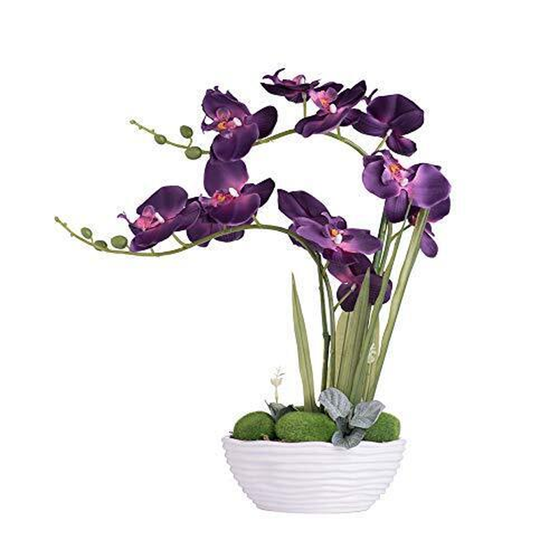 Large Artificial Potted Orchid Plant, Silk Flower Arrangement with Dark