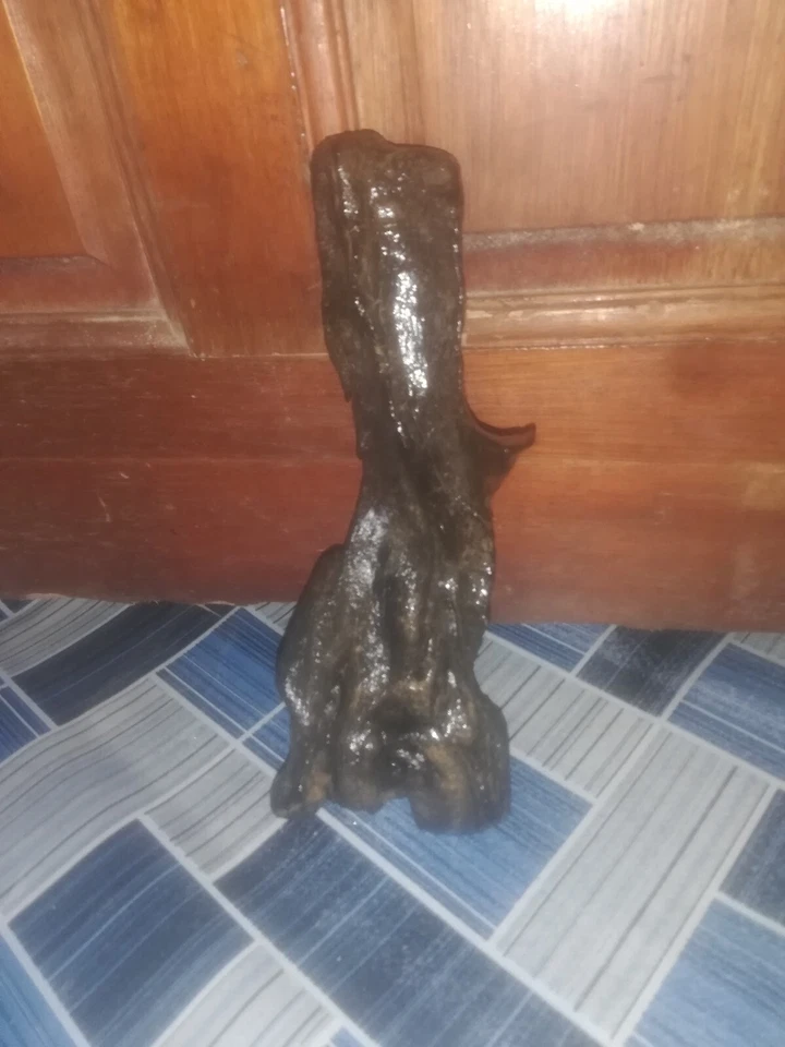 Malaysian Driftwood - Image 4 of 4