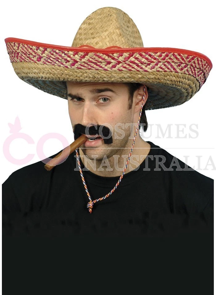 Mexican Embroidered Sombrero Straw Hat Mens Spanish Fiesta Fancy Dress Costume - image 2 of 2