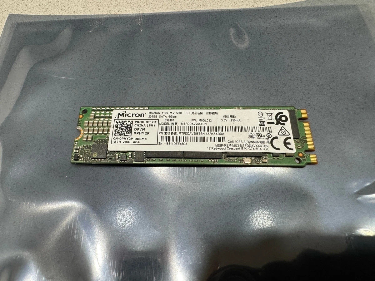 25+ M.2 Interface 256 GB Solid State Drives for sale | Updated Oct