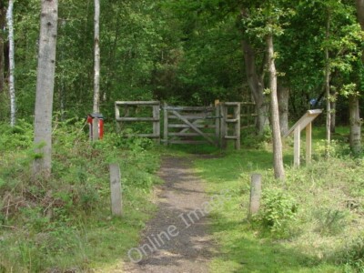 Photo 6x4 Smarts Heath Prey Heath The gate onto the heath from Smarts Hea c2010