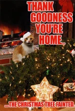 Nobleworks Tree Fainted Cat Box of 12 Funny Christmas Cards