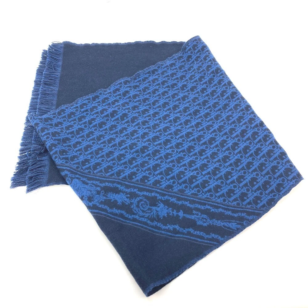 Foulard oblique Dior 24E0004A0741 trottoir frange laine bleu