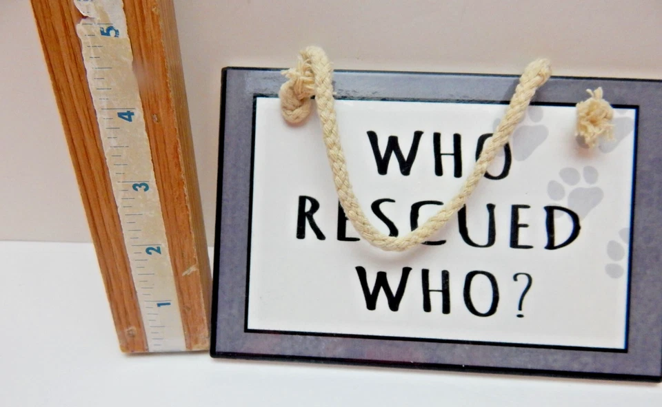 ¿Quién rescató a quién? Placa de cerámica - Nunca exhibida gris y blanco 7 pulgadas de ancho (W283 Foto 4 de 4