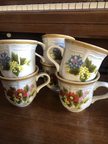 Mikasa Garden Club vintage Coffee Cups set if 6