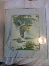 DIANE PIERCE bird art print PROTHONOTARY WARBLER 1977 partial ETCHED GLASS FRAME