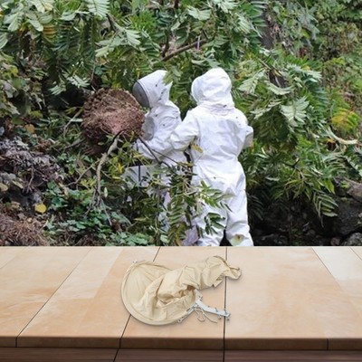 Beekeeper's Choice Leichtes Bienenfangnetz für optimale Leistung