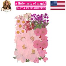 10 Types 50PCS Dried Flowers for Resin  Pressed Flowers Kit -Real Pressed Fl...