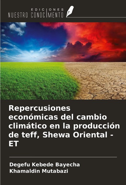 Repercusiones EconóMicas Del Cambio ClimáTico En La ProduccióN De Teff, Shewa...-image