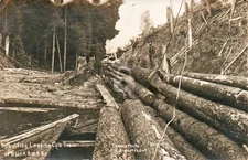 Logging Railroad Train BLACK ROCK OR Falls City OR Oregon RPPC  Postcard COPY