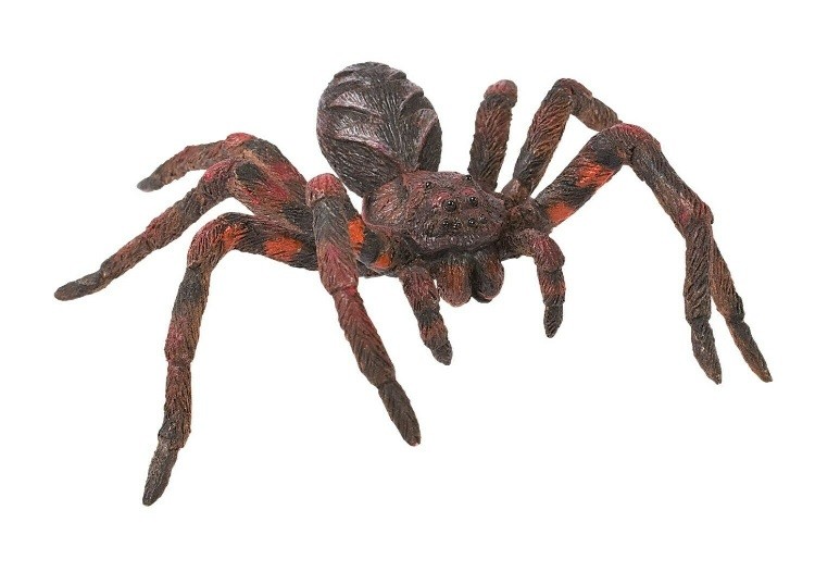 Bullyland 68430 Wolf Spider 12 Cm Reptiles