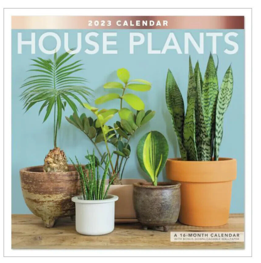 Paperblanks 2024 12-Month Horizontal Calendar - Tropical Garden Design, Midi Size (130x180 Mm), German Language
