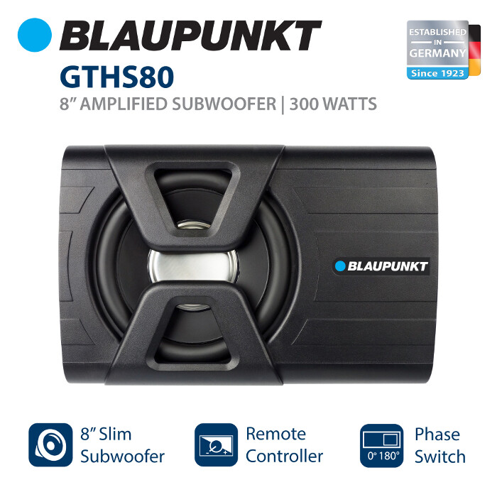 blaupunkt 8 subwoofer