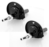 2X StoßDäMpfer ÖLdruck Vorne FüR Ford Galaxy Seat Alhambra Vw Sharan 1995-2010