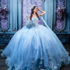 Shiny Sky Blue Ball Gown Quinceanera Dress Floral Applique Beading Bow Sweet 16
