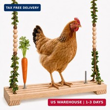 Hanging Chicken Swing Toy for Chicken Coop, Grooved Perch with Treat Posts