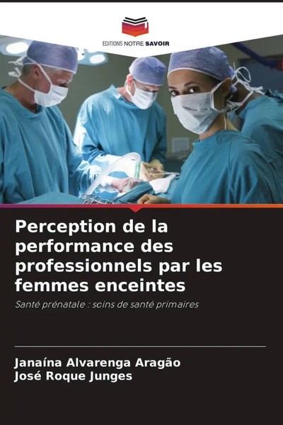 JanaíNa Alvarenga AragãO (U. A.) | Perception De La Performance Des...-image