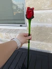 Vintage Murano Style Long Stem Red Rose Hand Blown Art Glass 19”H