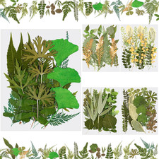 99 Pieces Assorted Pressed Leaves for Crafts Real Dried Leaves for Resin Plant H