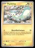 Pokémon TCG Pokémon Pachirisu Pachirisu Common regular non-holo