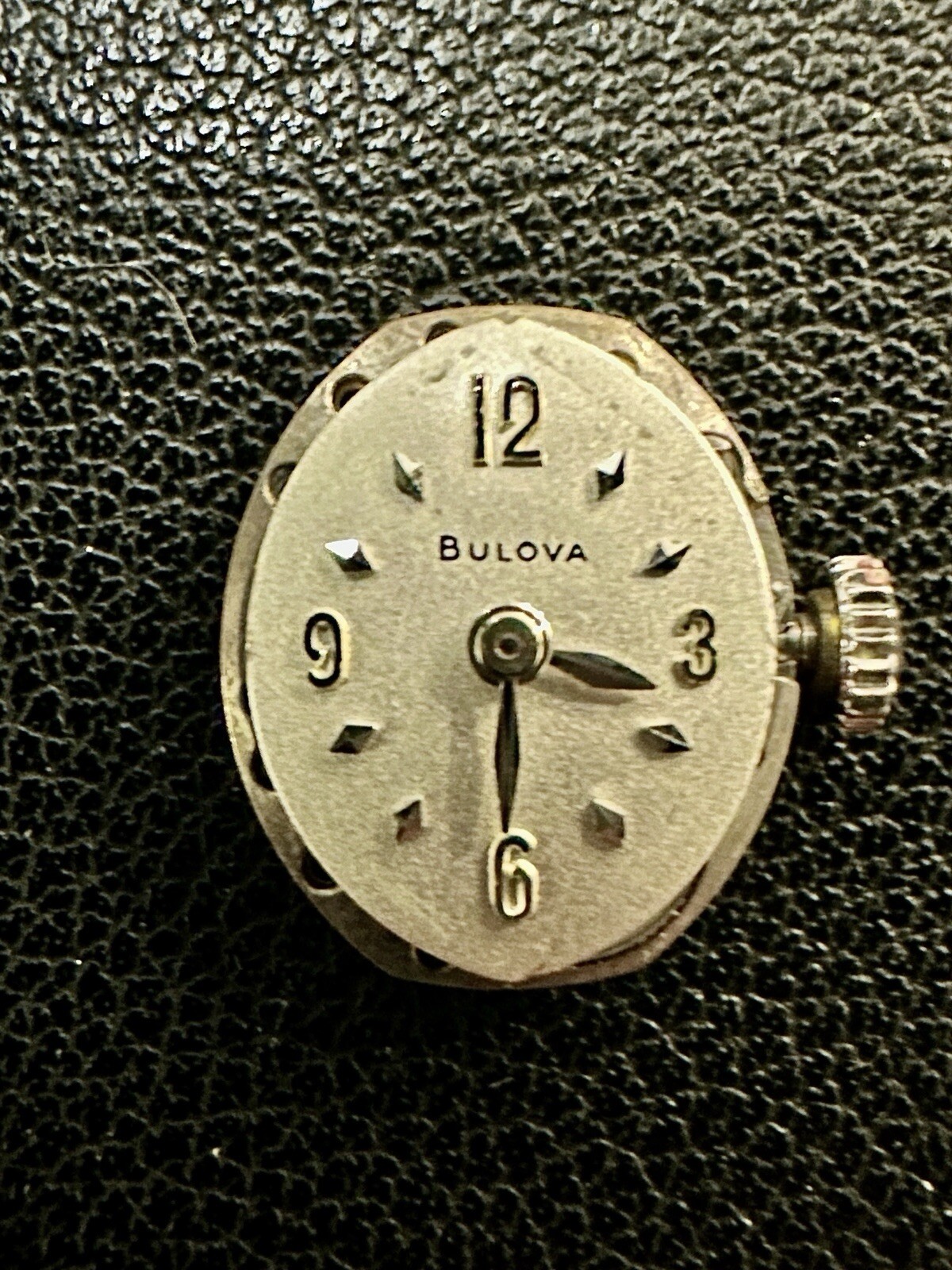 Picture 9 of 13