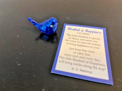 Bluebird of Happiness pocket Charm & Story Card by Ganz