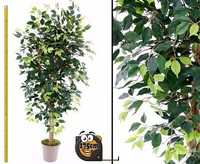KüNstlicher Ficus 175Cm Mit GrüNen BläTtern Aus Textilfaser Von Ibizanos