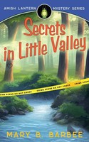 Mary B. Barbee | Secrets In Little Valley | Taschenbuch | Englisch (2021)