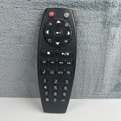 GM Chevrolet DVD Rear Entertainment System Remote 15190411 OEM 2007- 2011 WORKS!